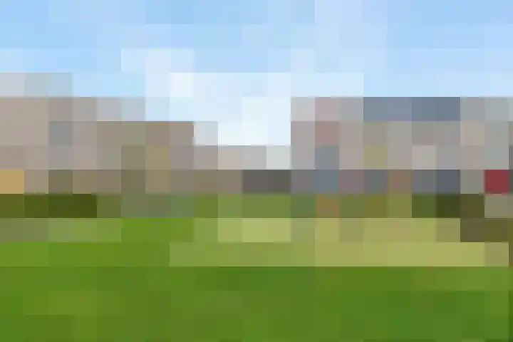 Klaproos 51 Lelystad thumbnail 36