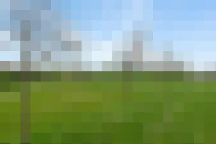 Klaproos 51 Lelystad thumbnail 37
