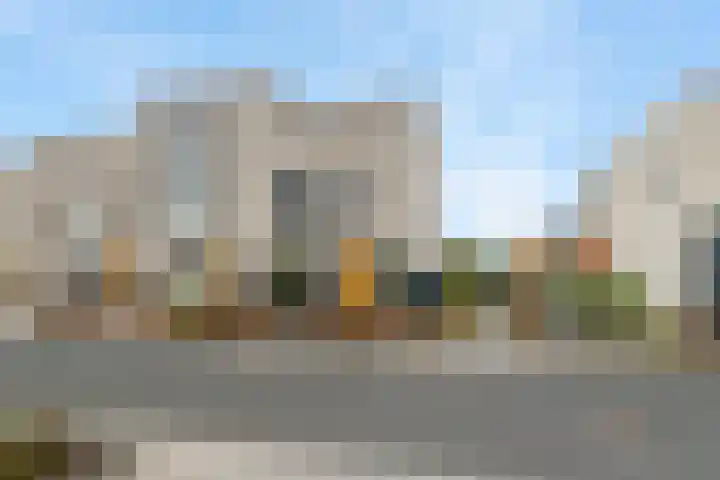 Klaproos 51 Lelystad thumbnail 42