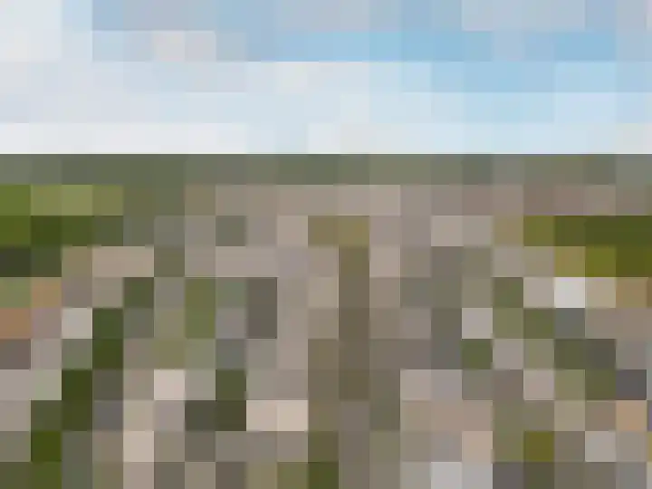 Klaproos 55 Lelystad thumbnail 34