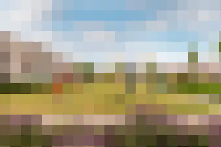 Klaproos 55 Lelystad thumbnail 36