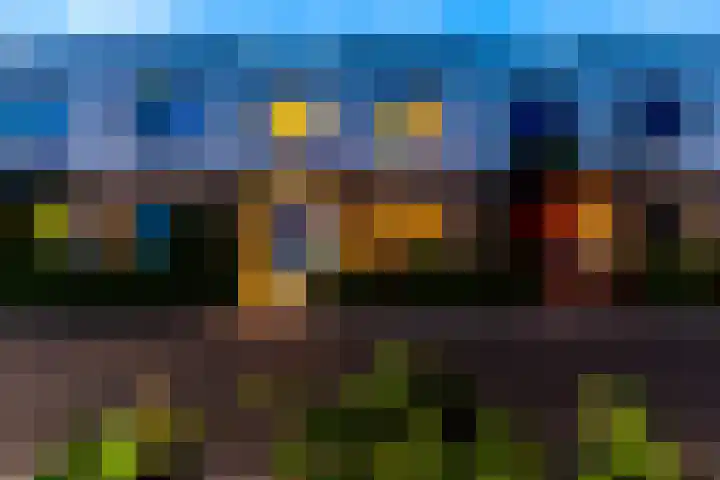 Klaproos 55 Lelystad thumbnail 4