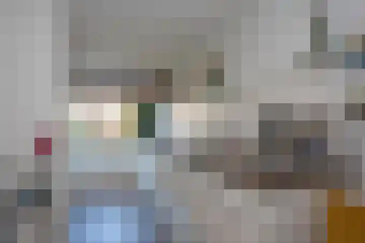 Klaproos 6 Borne thumbnail 16