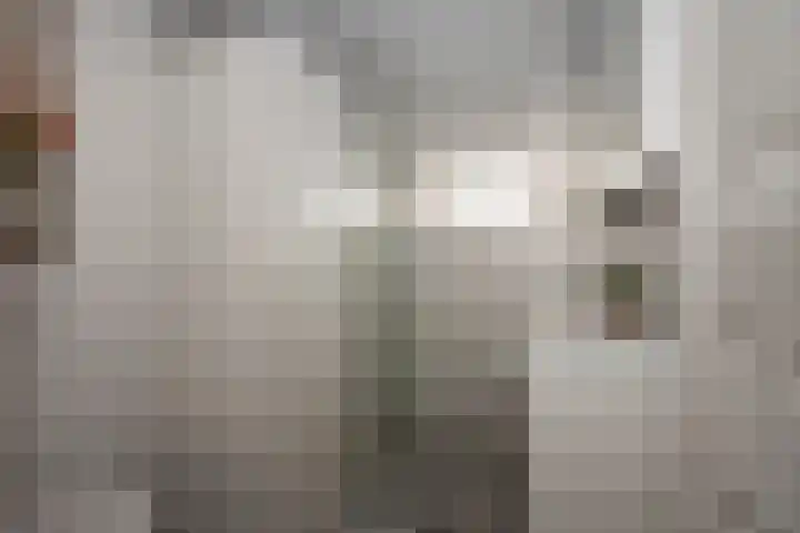 Klaproos 6 Borne thumbnail 24