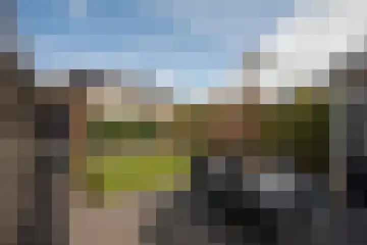 Klaproos 6 Borne thumbnail 29