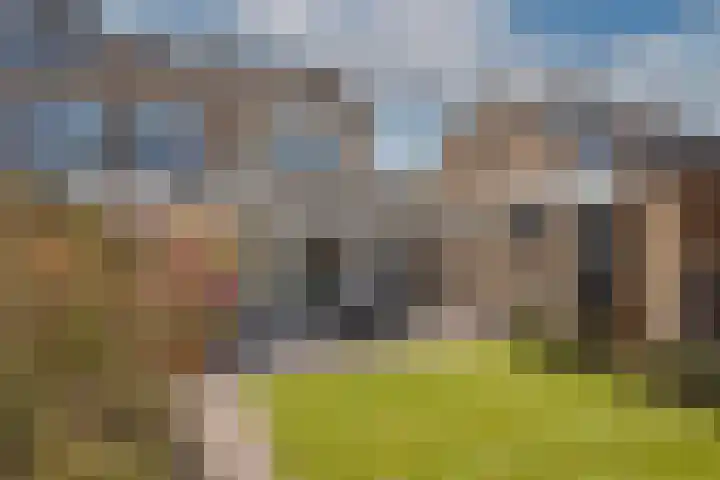 Klaproos 6 Borne thumbnail 35