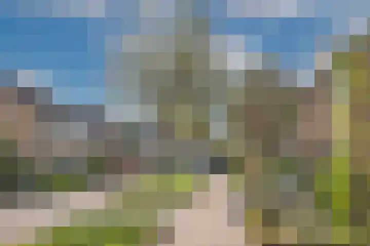 Klaproos 6 Borne thumbnail 37