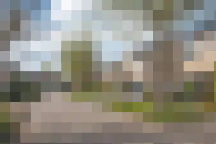 Klaproos 6 Borne thumbnail 38