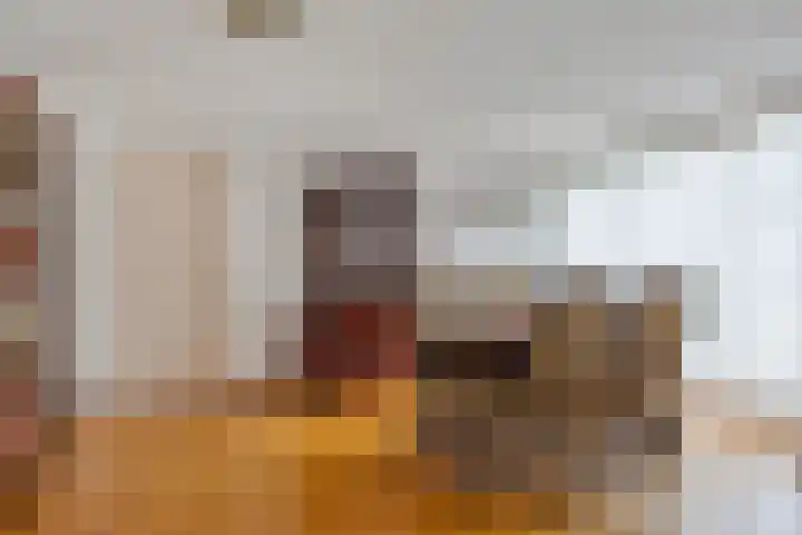 Klaproos 66 Hapert thumbnail 10