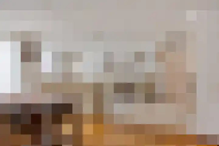 Klaproos 66 Hapert thumbnail 11