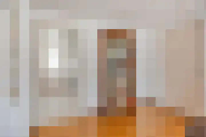 Klaproos 66 Hapert thumbnail 12