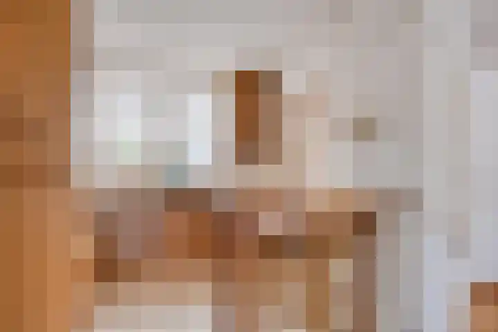 Klaproos 66 Hapert thumbnail 13