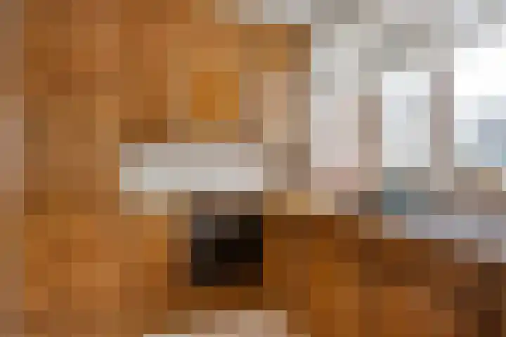 Klaproos 66 Hapert thumbnail 15