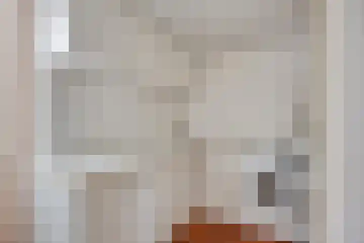 Klaproos 66 Hapert thumbnail 22