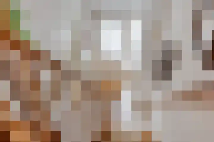 Klaproos 66 Hapert thumbnail 25