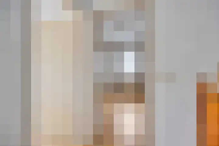 Klaproos 66 Hapert thumbnail 26