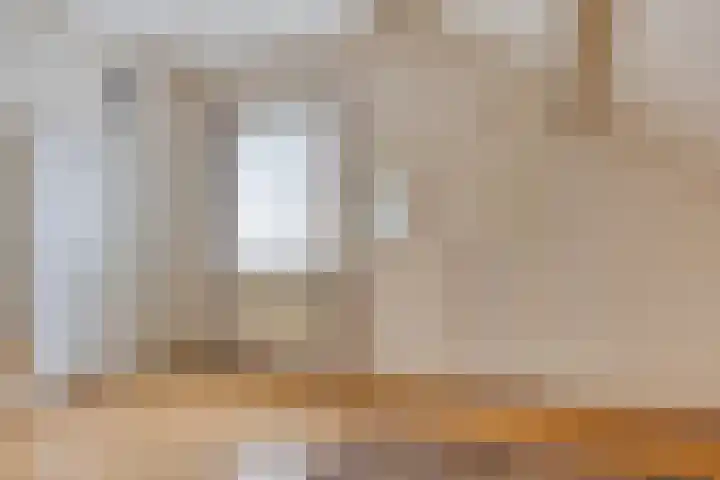 Klaproos 66 Hapert thumbnail 27
