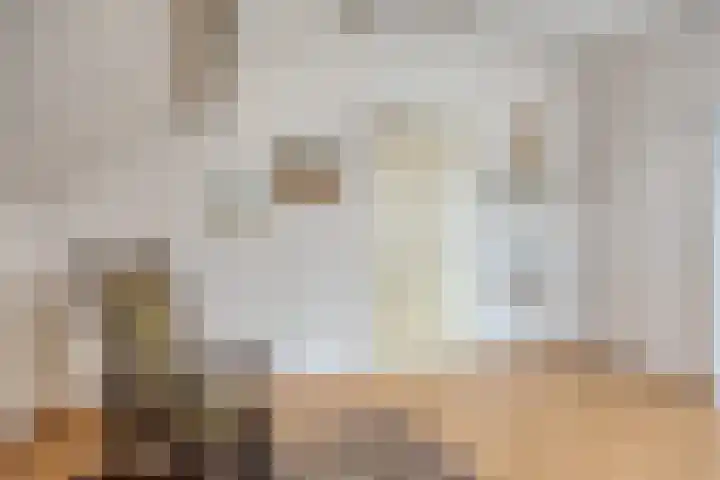 Klaproos 66 Hapert thumbnail 28