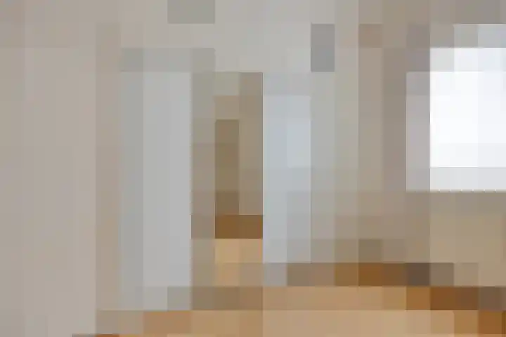 Klaproos 66 Hapert thumbnail 29