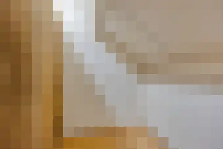 Klaproos 66 Hapert thumbnail 30