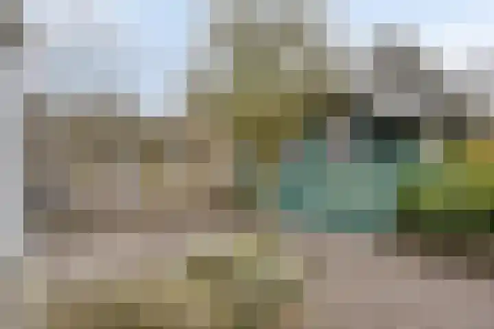 Klaproos 66 Hapert thumbnail 37