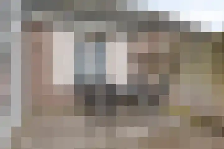 Klaproos 66 Hapert thumbnail 38