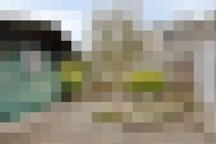 Klaproos 66 Hapert thumbnail 39