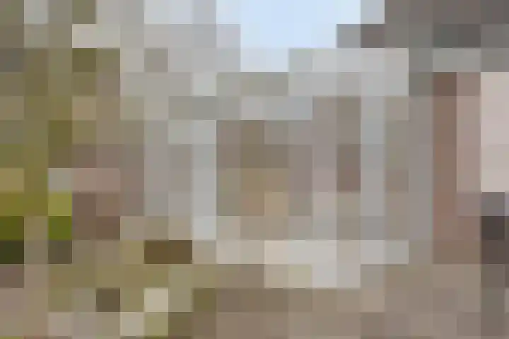 Klaproos 66 Hapert thumbnail 40