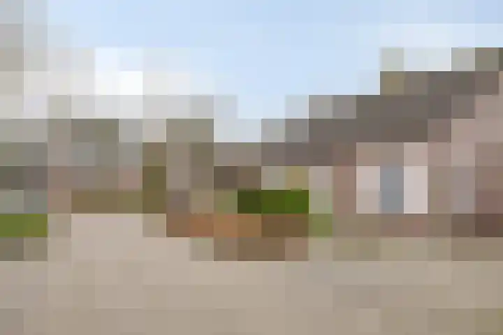 Klaproos 66 Hapert thumbnail 45