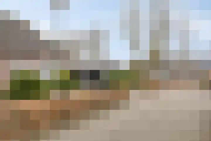 Klaproos 66 Hapert thumbnail 46
