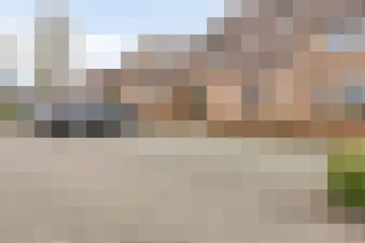 Klaproos 66 Hapert thumbnail 47
