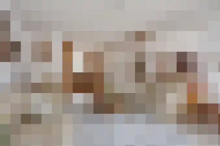Klaproos 66 Hapert thumbnail 6
