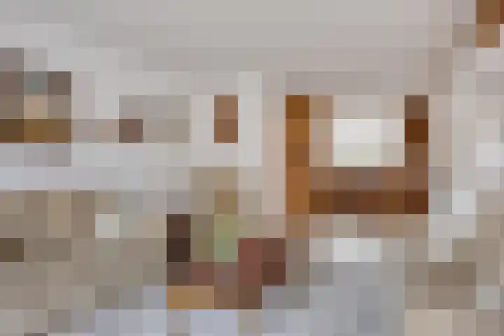 Klaproos 66 Hapert thumbnail 7
