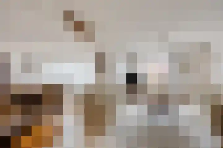 Klaproos 66 Hapert thumbnail 9