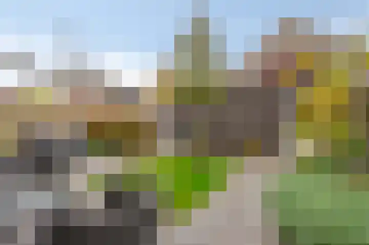 Klaproos 8 Kapelle thumbnail 27