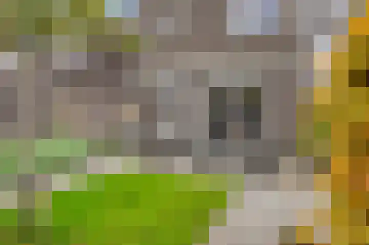 Klaproos 8 Kapelle thumbnail 29