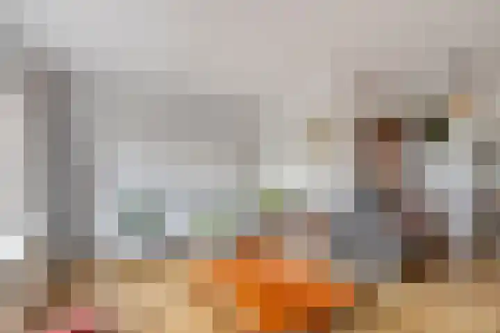 Klaproos 9 Purmerend thumbnail 10