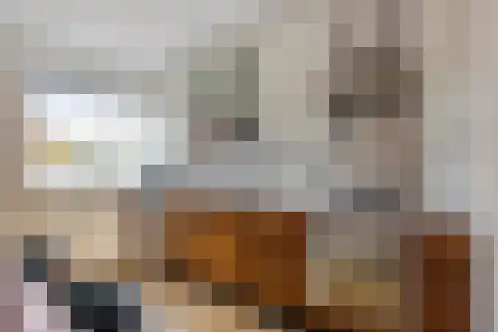 Klaproos 9 Purmerend thumbnail 15