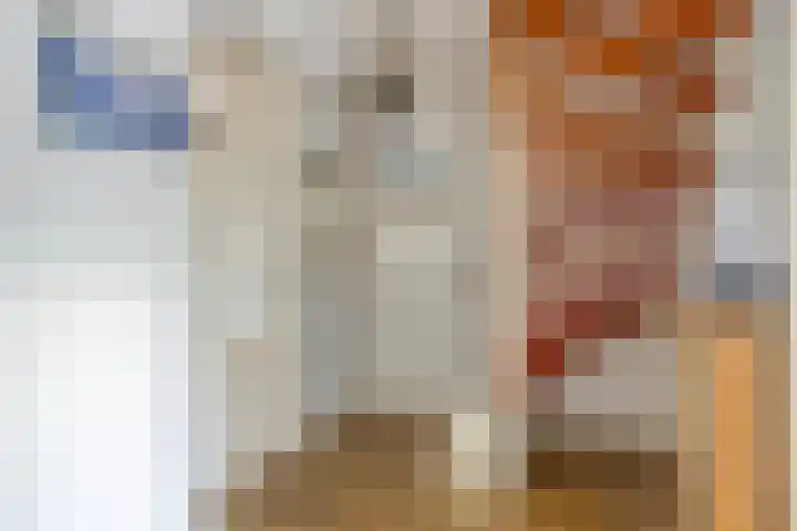 Klaproos 9 Purmerend thumbnail 17