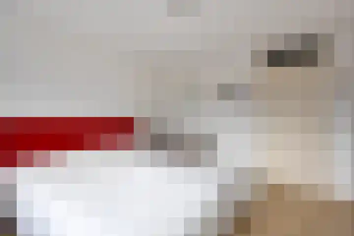 Klaproos 9 Purmerend thumbnail 21
