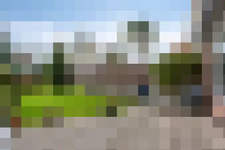 Klaproos 9 Purmerend thumbnail 31