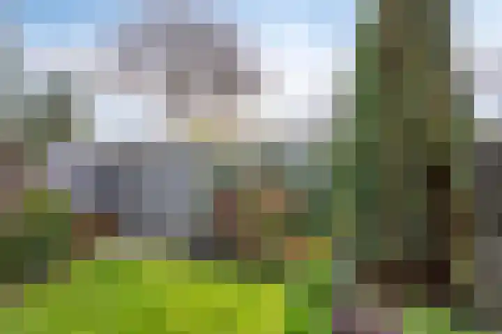 Klaproos 9 Purmerend thumbnail 33