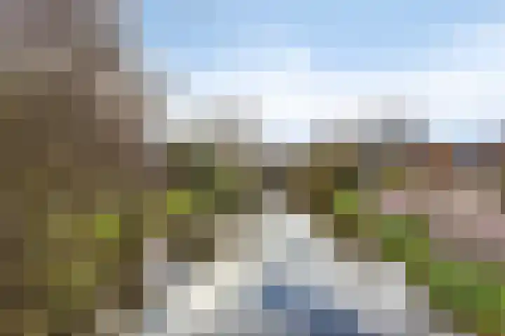 Klaproos 9 Purmerend thumbnail 39