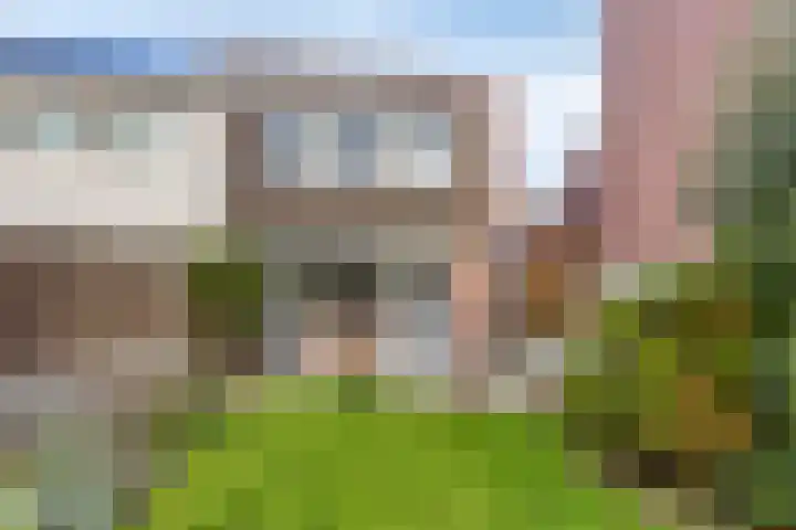 Klaproos 9 Purmerend thumbnail 5