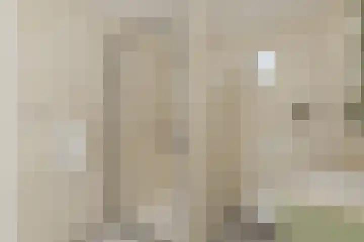 Klaprooslaan 26 Appingedam thumbnail 47