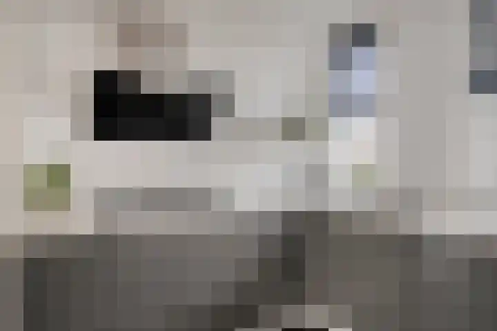 Klaproosstraat 47 Goes thumbnail 14