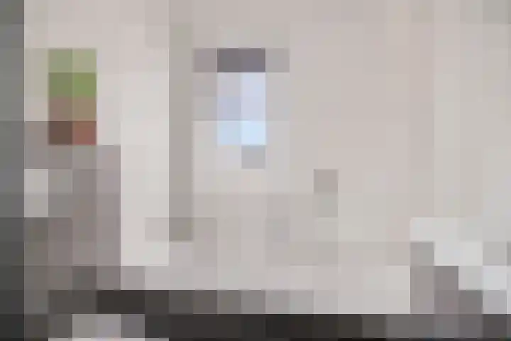 Klaproosstraat 47 Goes thumbnail 19