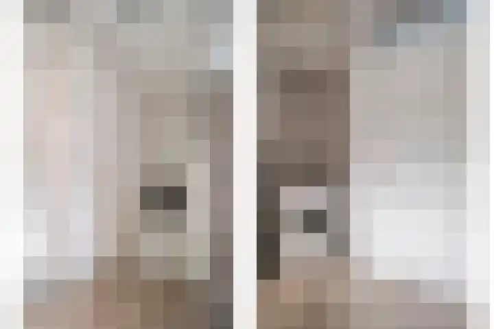 Klaproosstraat 47 Goes thumbnail 20