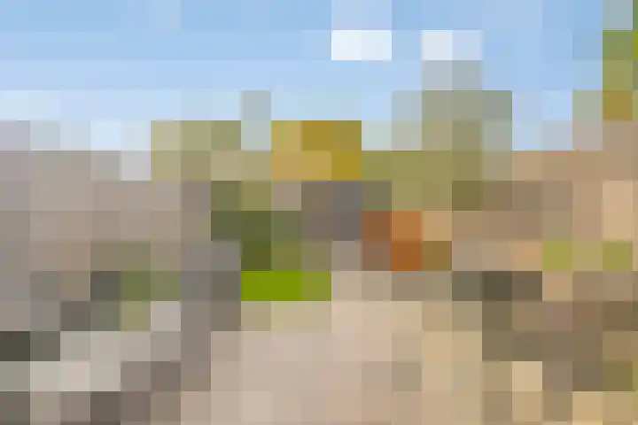 Klaproosstraat 47 Goes thumbnail 24