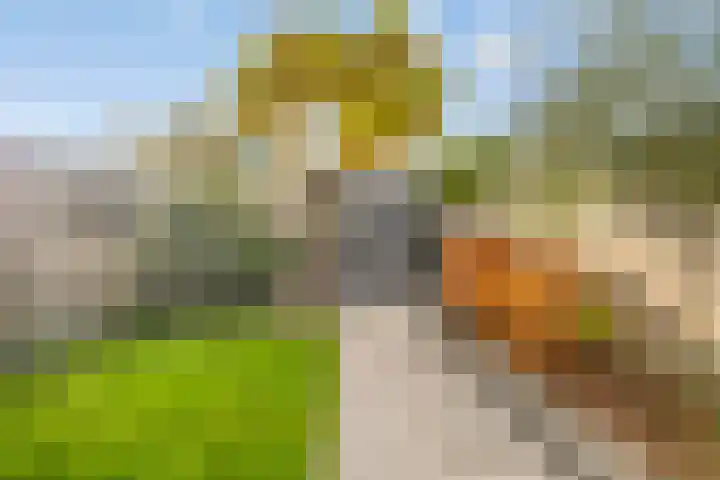 Klaproosstraat 47 Goes thumbnail 25